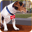 Animal Shelter - Pet Shelter