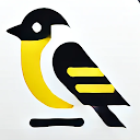 Goldfinch