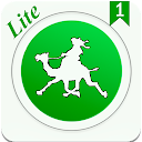 Arabic verbs - tests. Lite