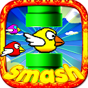 Fun Birds Game - Angry Smash