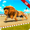 Wild Lion Racing Animal Race