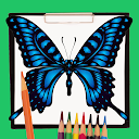 How to Draw an Easy Butterfly