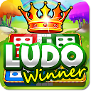 Ludo Game : Ludo Winner