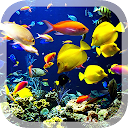 Real Aquarium Live Wallpaper