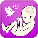 Pregnancy Guide - Baby Tracker