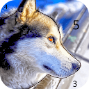 Magic Color | Paint by Number