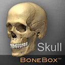 BoneBox™ - Skull Viewer
