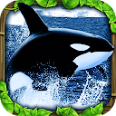 Orca Simulator