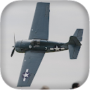 Airplane Fighters Combat