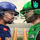 Vildy Cricket 3D: Full Version