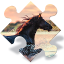 Horses Jigsaw Puzzles Free