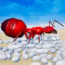 Carpenter Ants Insects Games