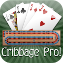 Cribbage Pro