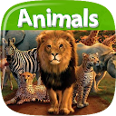 Animals Dictionary