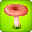Forest Clans - Mushroom Farm