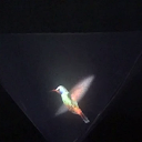 Vyomy 3D Hologram Hummingbird