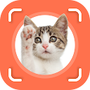 Cat Identifier - Cat Scanner