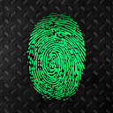 Lie Detector Simulator