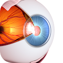 Vision Workout : Eye Training