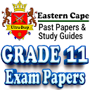 Grade 11 Eastern Cape Papers