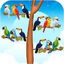 Bird Sort Color Match Games