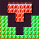 Block Puzzle Champions