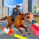 US Police Horse Criminal Chase