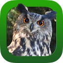 Heintges Jagdpr&uuml;fung 2024