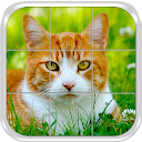Cats Slide Puzzle Game