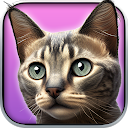 My Kitten : Virtual Pet