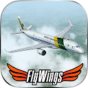 Weather Flight Sim Viewer