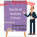 Adición de vectores, Formas
