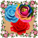 Rose Garden games offline