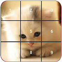 Cat puzzles Jigsaw, Slide 2048