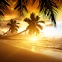 Beach Sunset Live Wallpaper