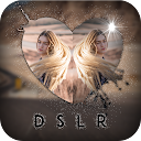 DSLR Camera - Blur Background