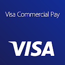 Visa Commercial Pay