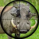 Wild Hunt Pig Sniper Shooting