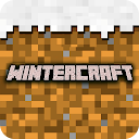 Winter Craft - Block Craft