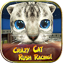 Crazy Cat Rush Racing