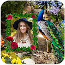 Peacock Photo Frames