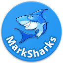 Class 8th - Marksharks