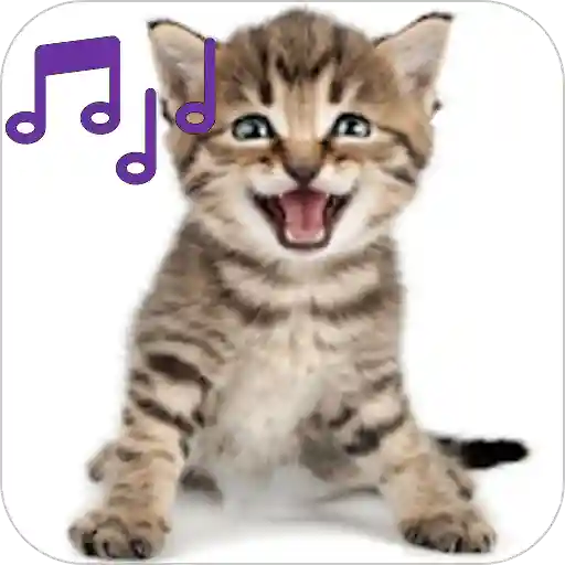 Cat Ringtones and Wallpapers