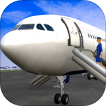 Real Flight Simulator