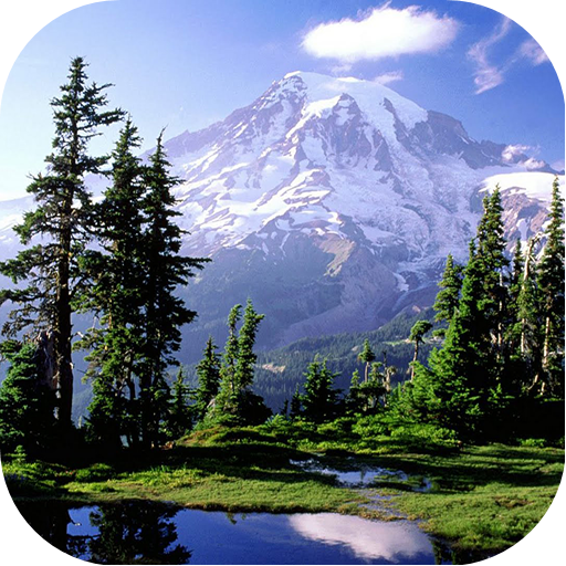 Nature 4K Images & Backgrounds