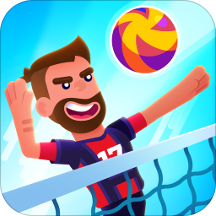 Volleyball Challenge