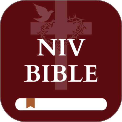 NIV Bible