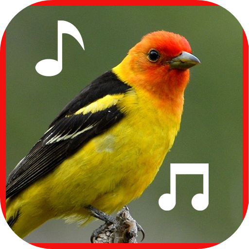Birds Sounds Ringtones
