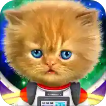 Talking baby cat in space