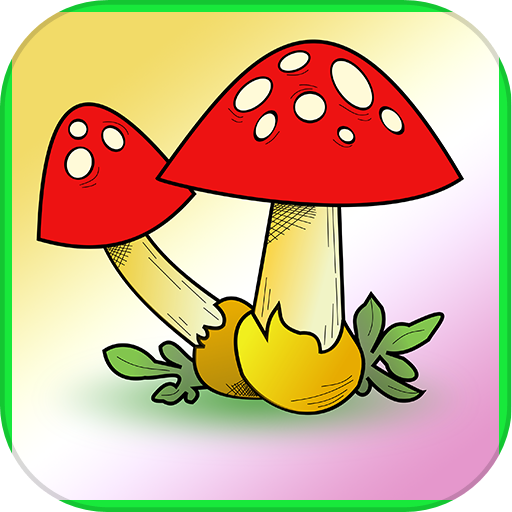Mushroom Recipes
